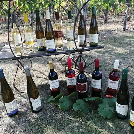 Ferienweingut Winnebeck Apartment Kowerich