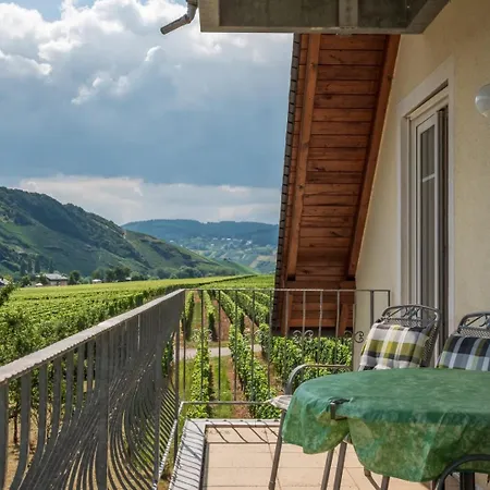 Apartment Ferienweingut Winnebeck *