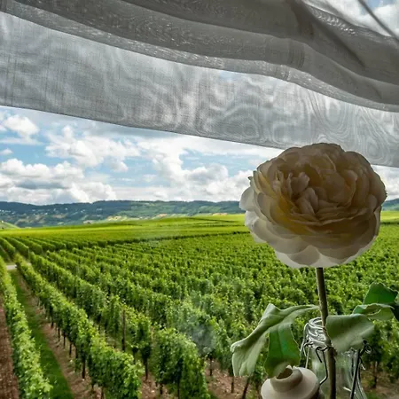 Ferienweingut Winnebeck * Kowerich