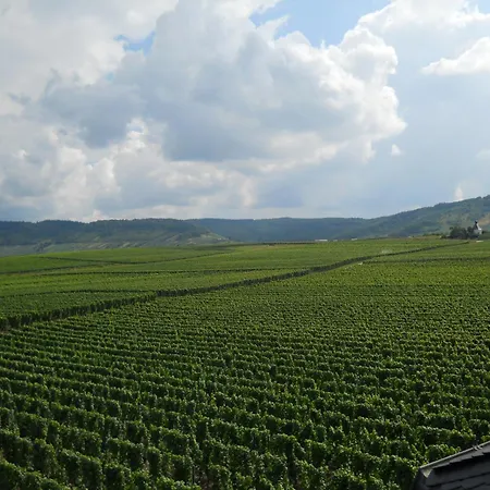 Ferienweingut Winnebeck Apartment