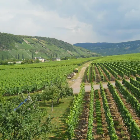 Ferienweingut Winnebeck Apartment Kowerich