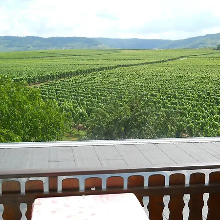 Ferienweingut Winnebeck Apartment